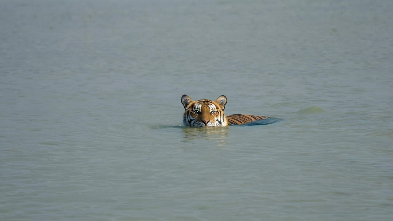 अंतर्राष्ट्रीय बाघ दिवस पर आयोजित कार्यक्रम